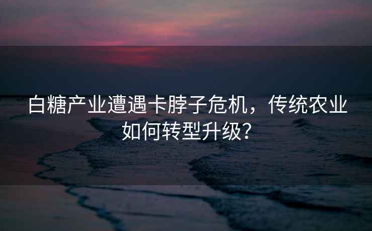 白糖产业遭遇卡脖子危机，传统农业如何转型升级？