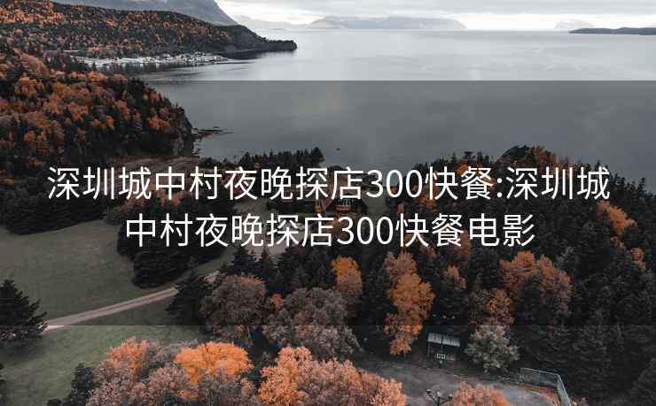 深圳城中村夜晚探店300快餐:深圳城中村夜晚探店300快餐电影