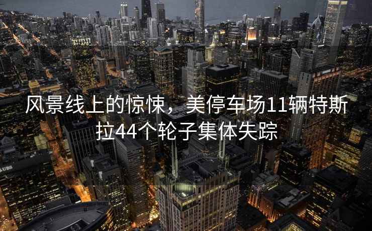 风景线上的惊悚，美停车场11辆特斯拉44个轮子集体失踪