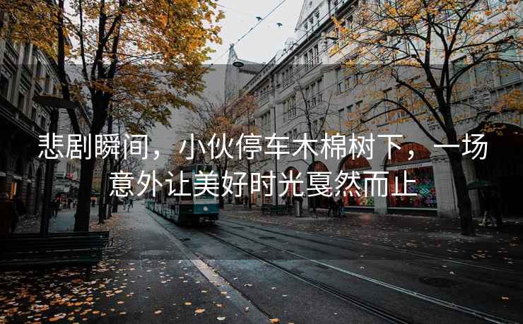 悲剧瞬间，小伙停车木棉树下，一场意外让美好时光戛然而止