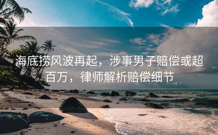 海底捞风波再起，涉事男子赔偿或超百万，律师解析赔偿细节