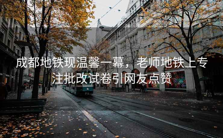 成都地铁现温馨一幕，老师地铁上专注批改试卷引网友点赞