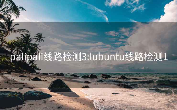 palipali线路检测3:lubuntu线路检测1