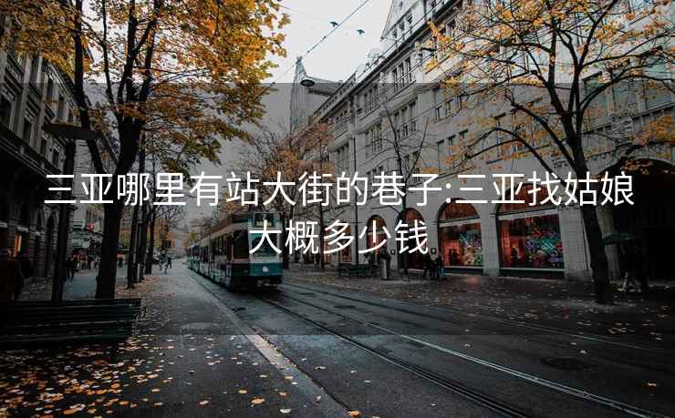 三亚哪里有站大街的巷子:三亚找姑娘大概多少钱