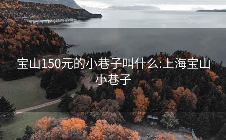 宝山150元的小巷子叫什么:上海宝山小巷子