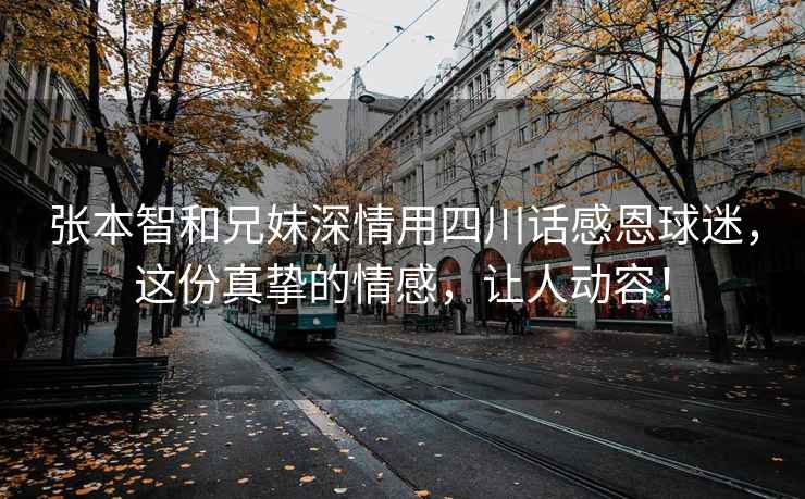 张本智和兄妹深情用四川话感恩球迷，这份真挚的情感，让人动容！