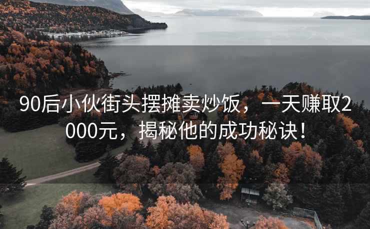 90后小伙街头摆摊卖炒饭，一天赚取2000元，揭秘他的成功秘诀！