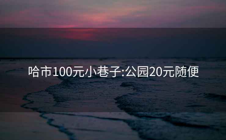 哈市100元小巷子:公园20元随便