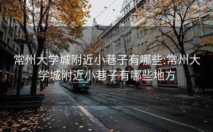 常州大学城附近小巷子有哪些:常州大学城附近小巷子有哪些地方