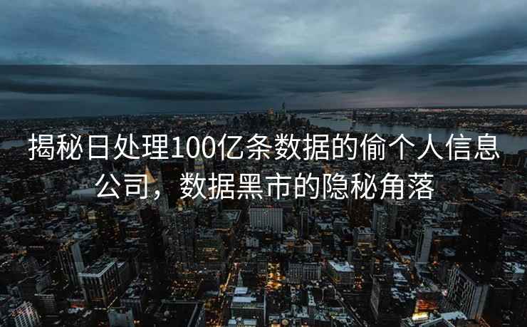 揭秘日处理100亿条数据的偷个人信息公司，数据黑市的隐秘角落