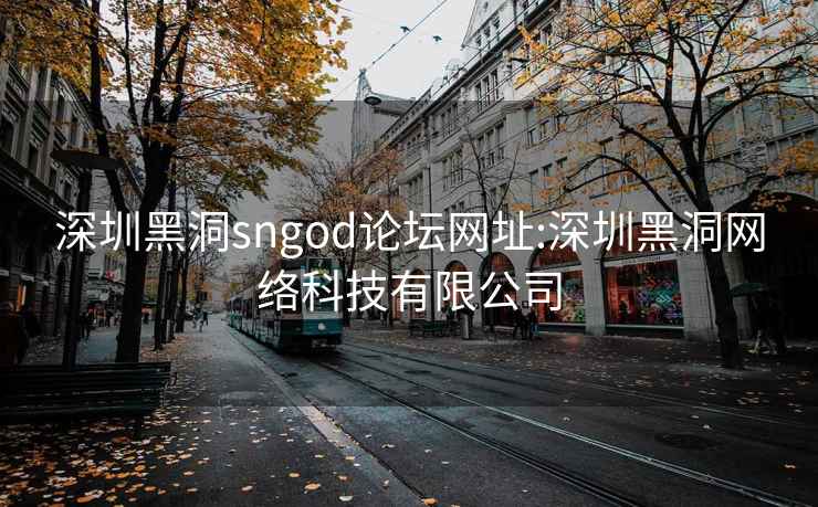 深圳黑洞sngod论坛网址:深圳黑洞网络科技有限公司