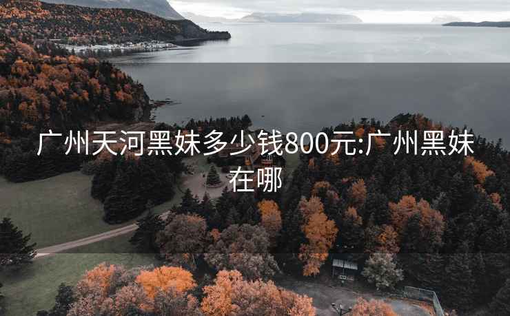 广州天河黑妹多少钱800元:广州黑妹在哪