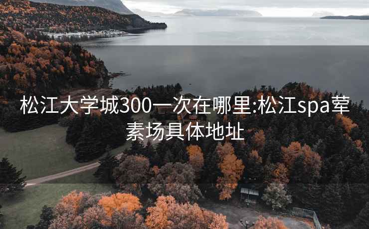 松江大学城300一次在哪里:松江spa荤素场具体地址