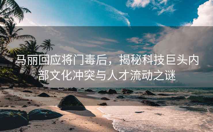 马丽回应将门毒后，揭秘科技巨头内部文化冲突与人才流动之谜