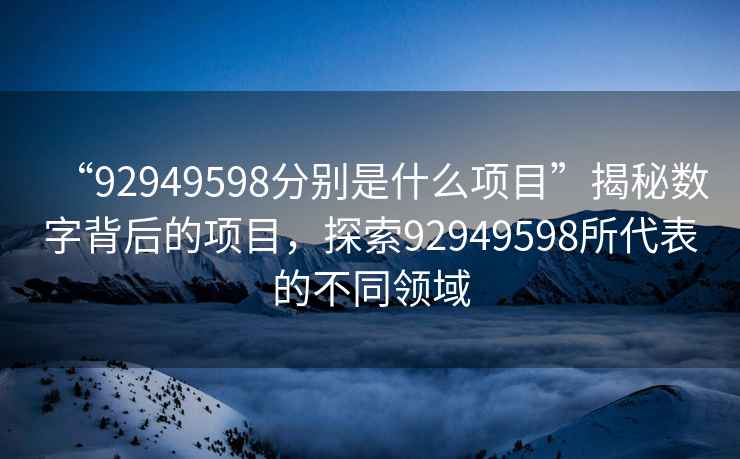 “92949598分别是什么项目”揭秘数字背后的项目，探索92949598所代表的不同领域