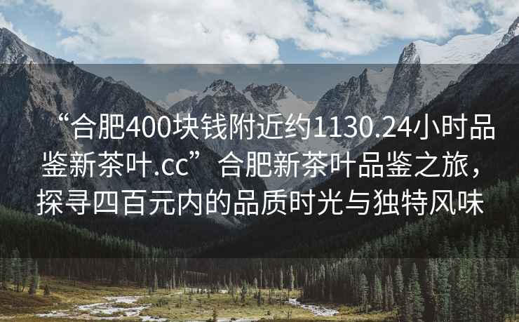 “合肥400块钱附近约1130.24小时品鉴新茶叶.cc”合肥新茶叶品鉴之旅，探寻四百元内的品质时光与独特风味