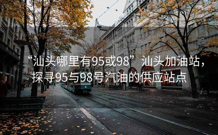 “汕头哪里有95或98”汕头加油站，探寻95与98号汽油的供应站点