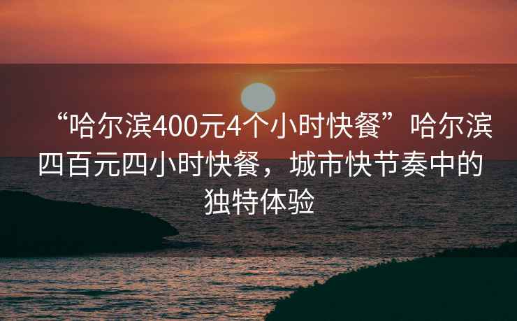 “哈尔滨400元4个小时快餐”哈尔滨四百元四小时快餐，城市快节奏中的独特体验