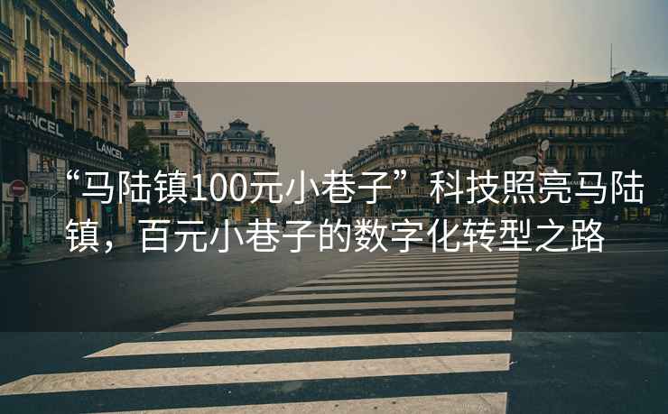 “马陆镇100元小巷子”科技照亮马陆镇，百元小巷子的数字化转型之路