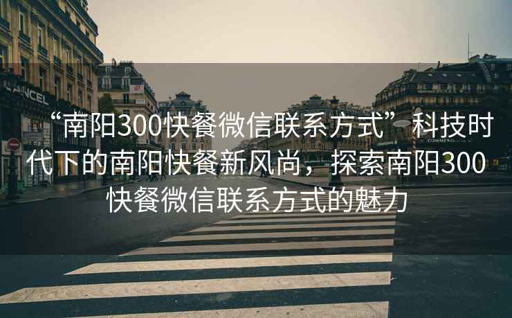 “南阳300快餐微信联系方式”科技时代下的南阳快餐新风尚，探索南阳300快餐微信联系方式的魅力