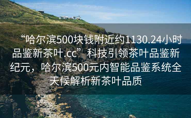 “哈尔滨500块钱附近约1130.24小时品鉴新茶叶.cc”科技引领茶叶品鉴新纪元，哈尔滨500元内智能品鉴系统全天候解析新茶叶品质