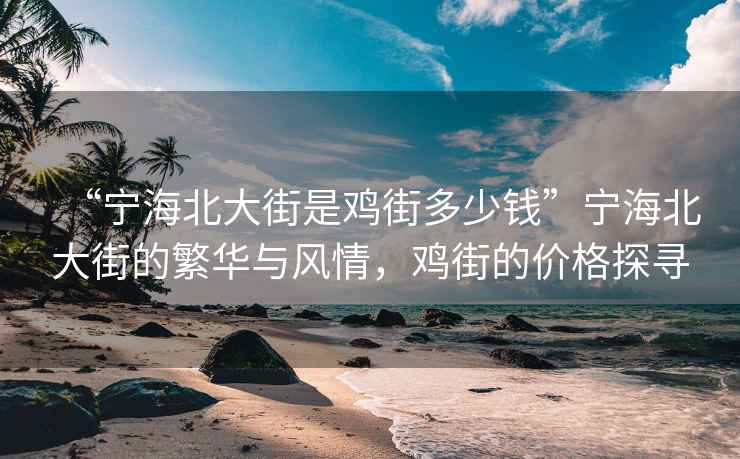 “宁海北大街是鸡街多少钱”宁海北大街的繁华与风情，鸡街的价格探寻