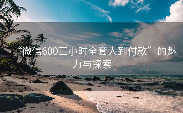 “微信600三小时全套人到付款”的魅力与探索