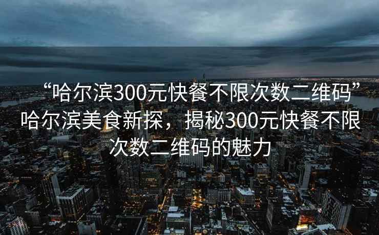 “哈尔滨300元快餐不限次数二维码”哈尔滨美食新探，揭秘300元快餐不限次数二维码的魅力