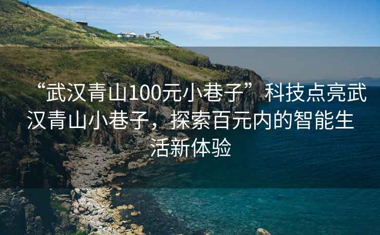 “武汉青山100元小巷子”科技点亮武汉青山小巷子，探索百元内的智能生活新体验