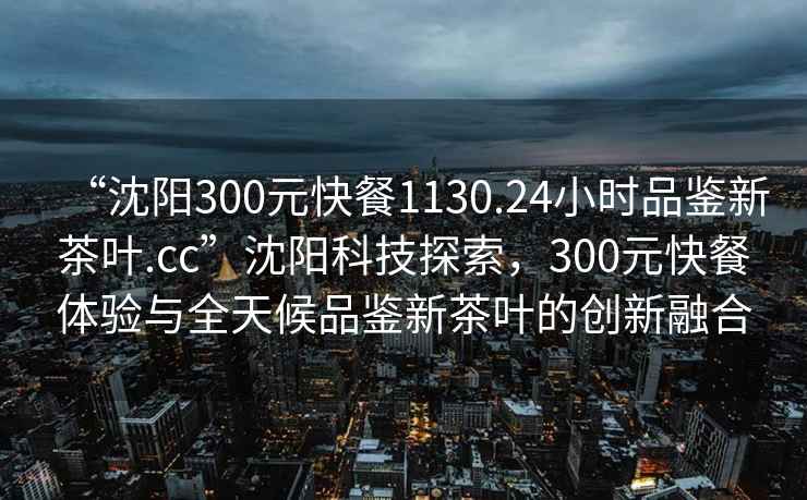 “沈阳300元快餐1130.24小时品鉴新茶叶.cc”沈阳科技探索，300元快餐体验与全天候品鉴新茶叶的创新融合