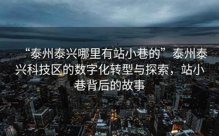 “泰州泰兴哪里有站小巷的”泰州泰兴科技区的数字化转型与探索，站小巷背后的故事