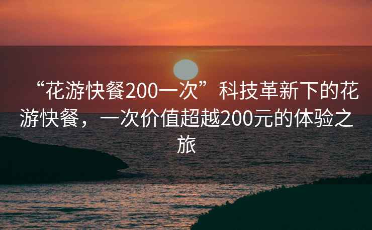 “花游快餐200一次”科技革新下的花游快餐，一次价值超越200元的体验之旅