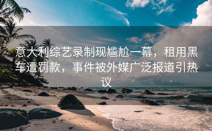 意大利综艺录制现尴尬一幕，租用黑车遭罚款，事件被外媒广泛报道引热议