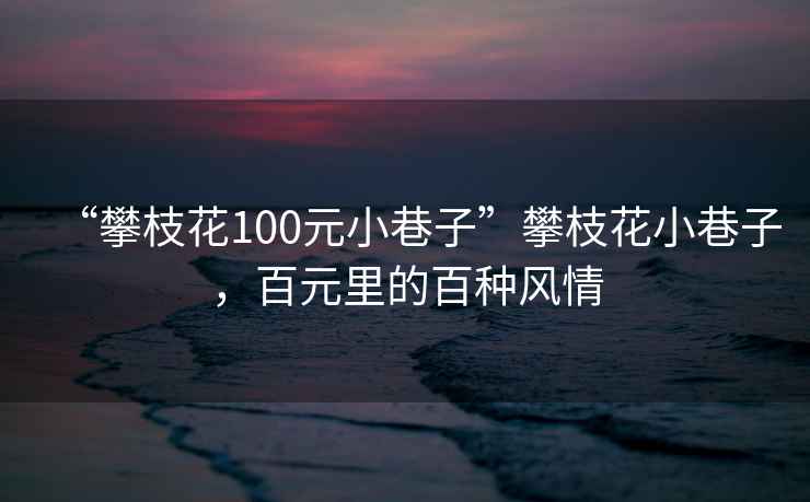 “攀枝花100元小巷子”攀枝花小巷子，百元里的百种风情