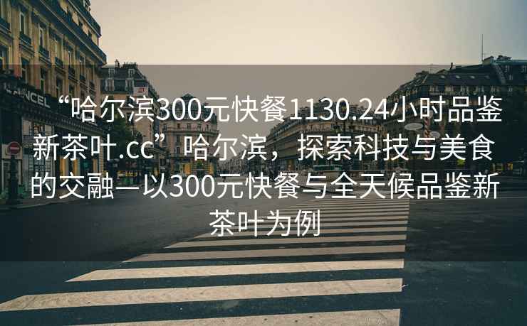 “哈尔滨300元快餐1130.24小时品鉴新茶叶.cc”哈尔滨，探索科技与美食的交融—以300元快餐与全天候品鉴新茶叶为例