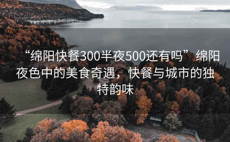 “绵阳快餐300半夜500还有吗”绵阳夜色中的美食奇遇，快餐与城市的独特韵味