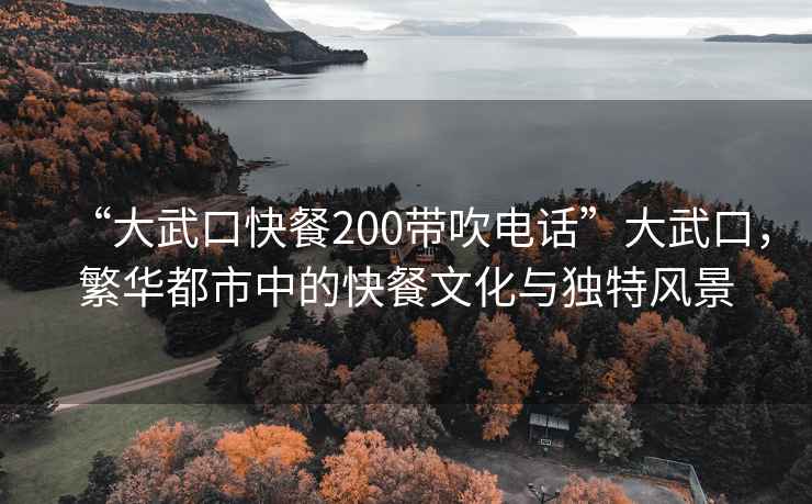 “大武口快餐200带吹电话”大武口，繁华都市中的快餐文化与独特风景