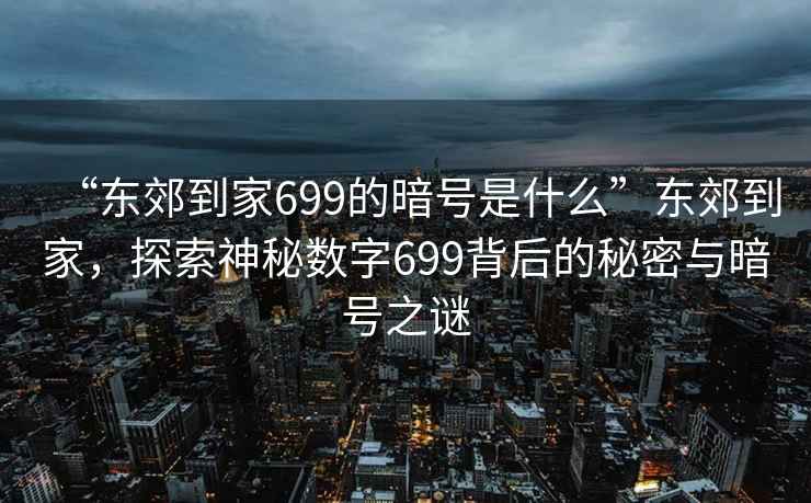 “东郊到家699的暗号是什么”东郊到家，探索神秘数字699背后的秘密与暗号之谜