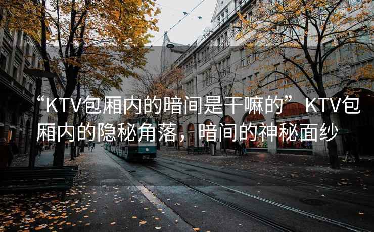 “KTV包厢内的暗间是干嘛的”KTV包厢内的隐秘角落，暗间的神秘面纱